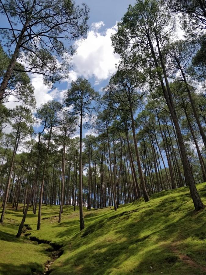 The Frostwood Resort Ranikhet Ngoại thất bức ảnh